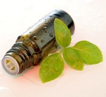 Huile essentielle de basilic grand vert
