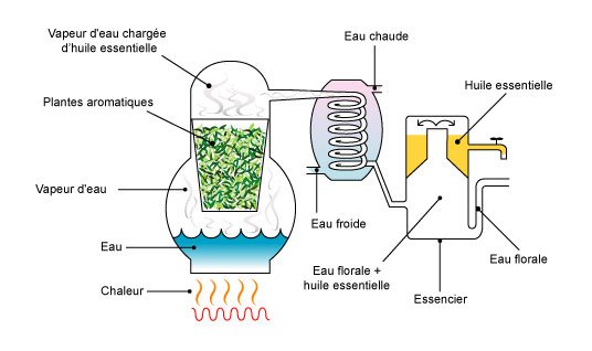 http://www.union-nature.com/img/distillation_FR.jpg